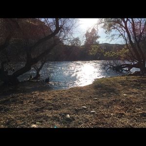 Meet your Posher, Trudy